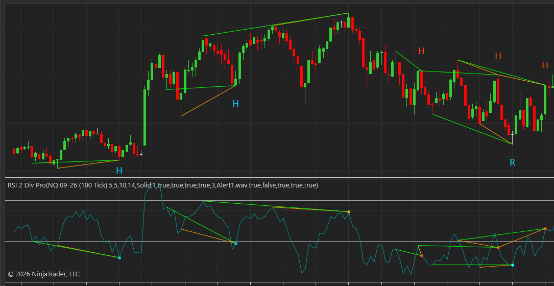 RSI DOUBLE DIVERGENCE indicator for NinjaTrader8