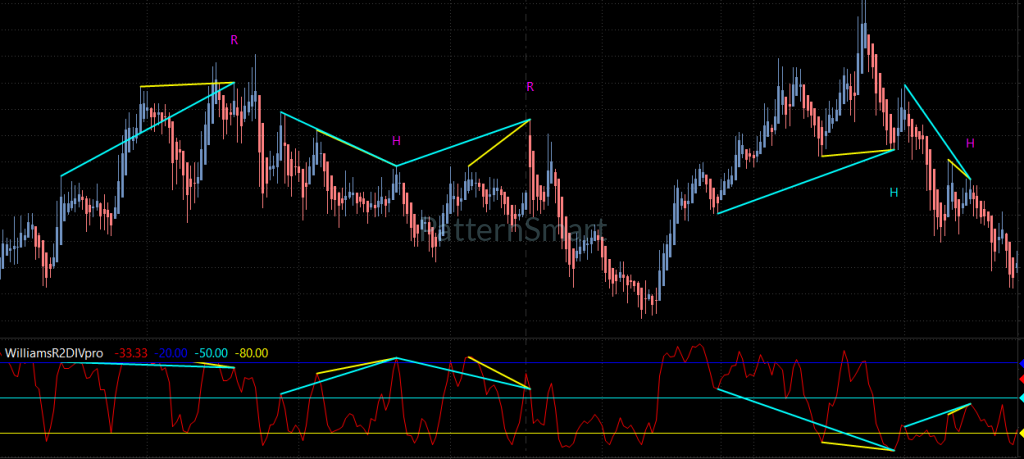 Williams %R Double Divergence Pro for MultiCharts Williams %R Double Divergence Pro for MultiCharts
